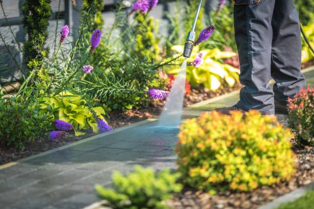 Best Sidewalk and Walkway Cleaning  in Salmon Brook, CT